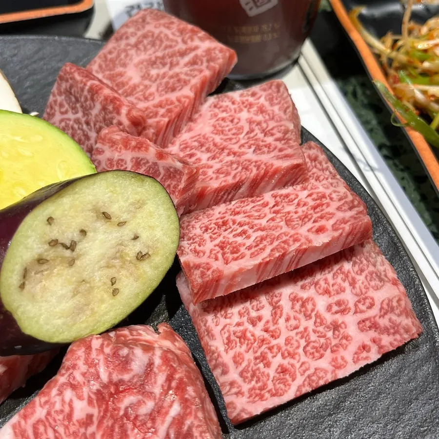 Close-up of assorted aged hanwoo cuts