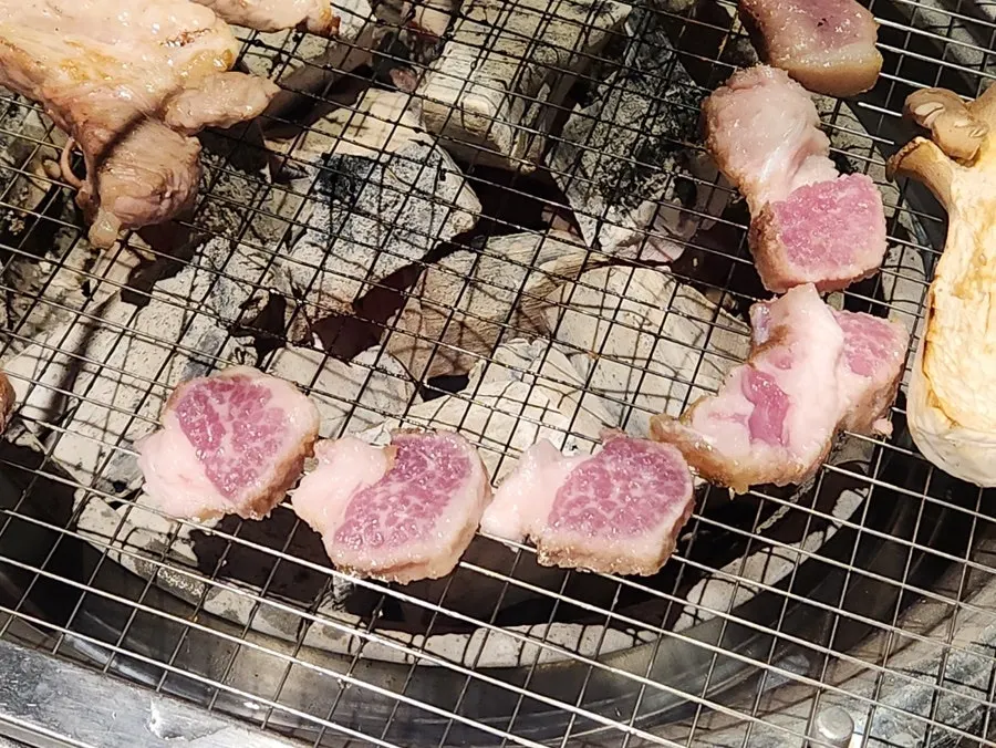 A grilled piece of handon special cut