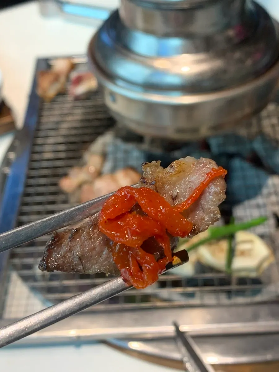A piece of meat topped with radish salad