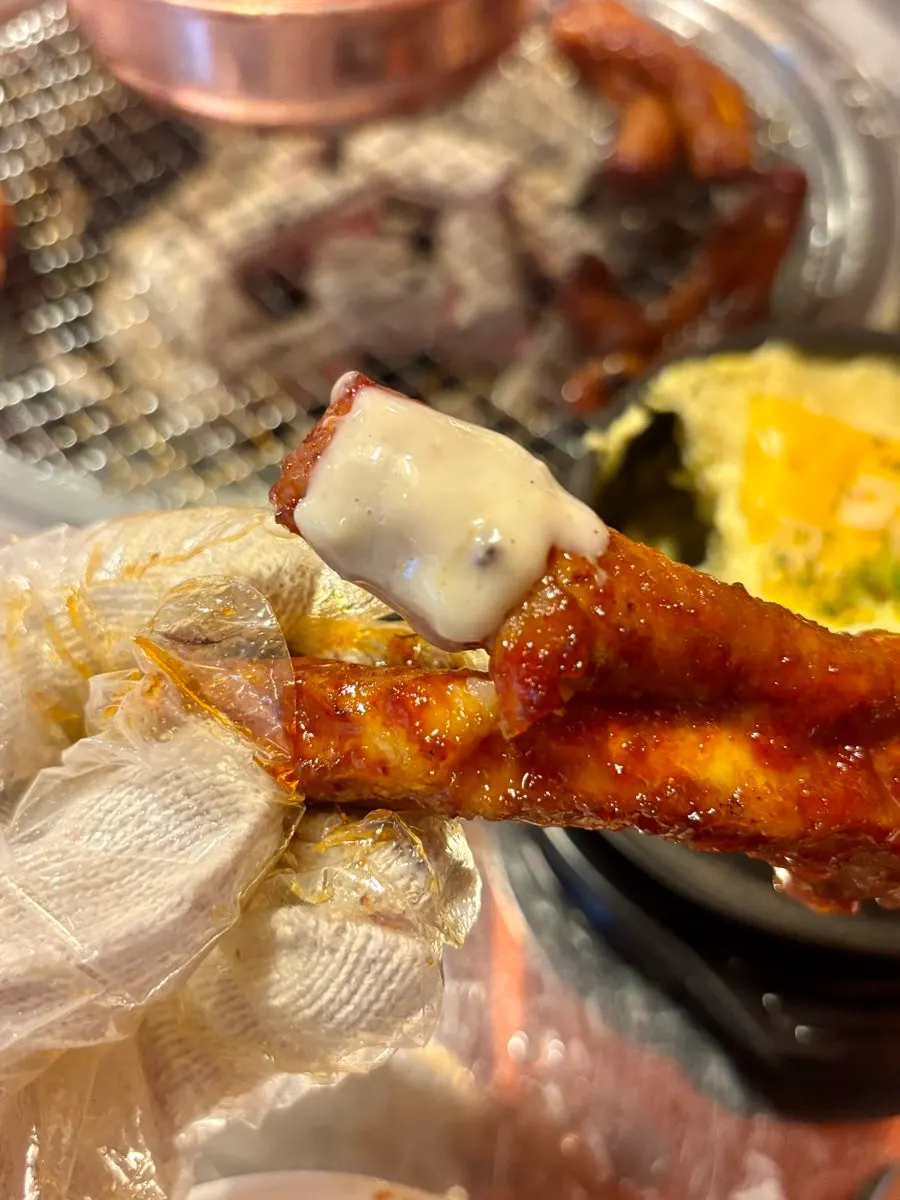 A pre-scored piece of seasoned pork rib