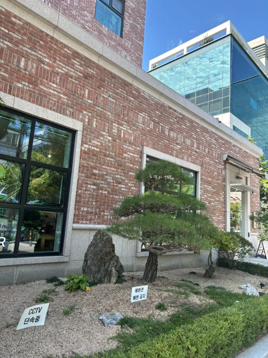 Exterior of Petrico café in Hapjeong