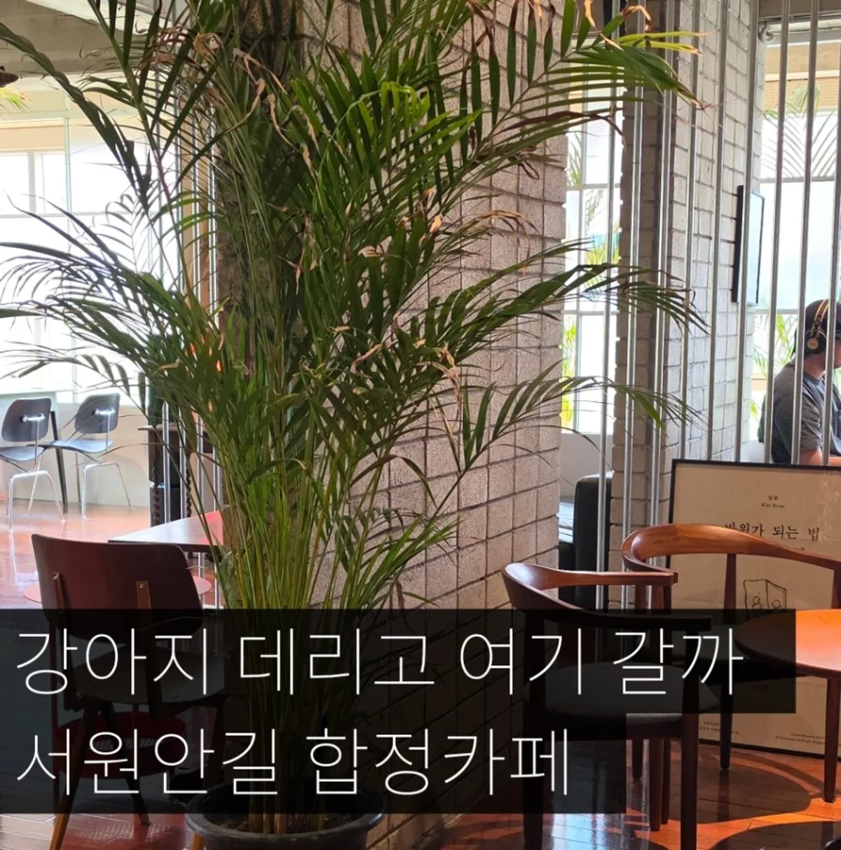 합정역 애견동반 브런치카페 서원안길 합정 대표 이미지