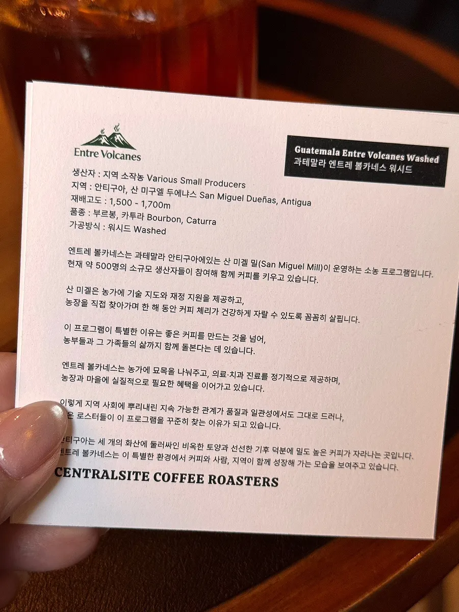 깔끔하게 즐긴 과테말라 커피