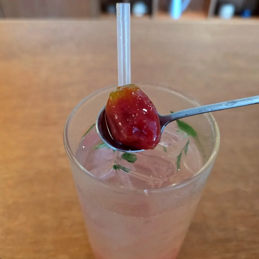 Tomato served alongside the ade