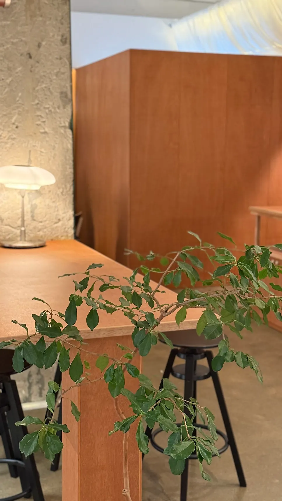 Wooden tables and plant décor