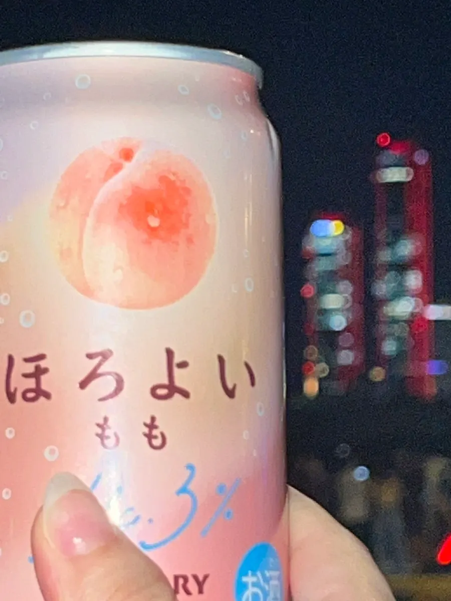 불꽃놀이 날의 저녁 외식 기록