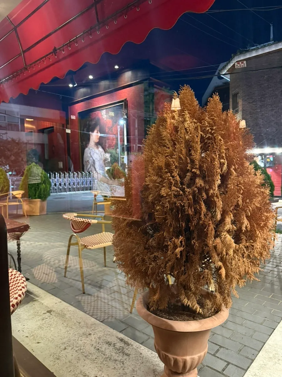 로제타 입구와 야외 테라스 좌석