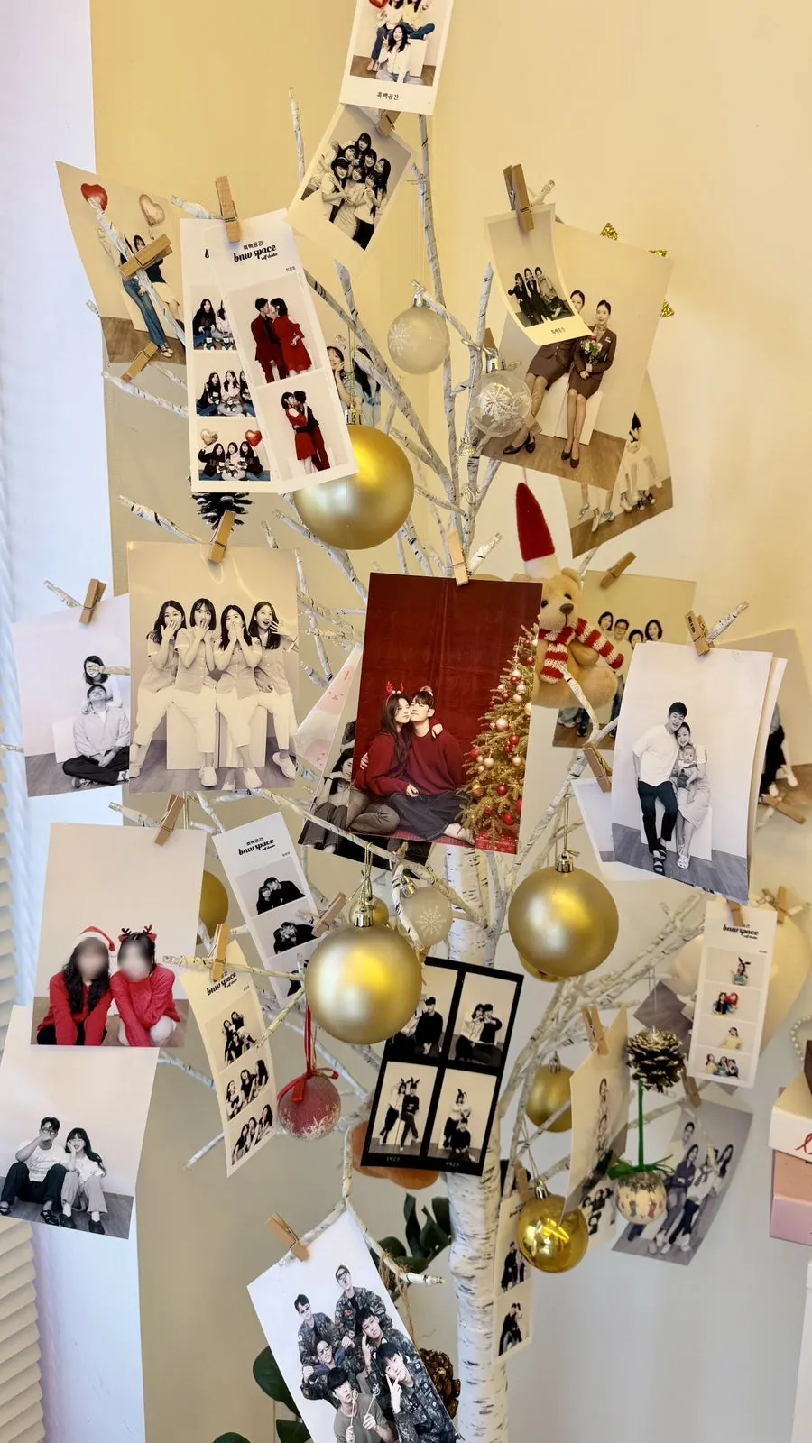 Display of the wide variety of photo props available