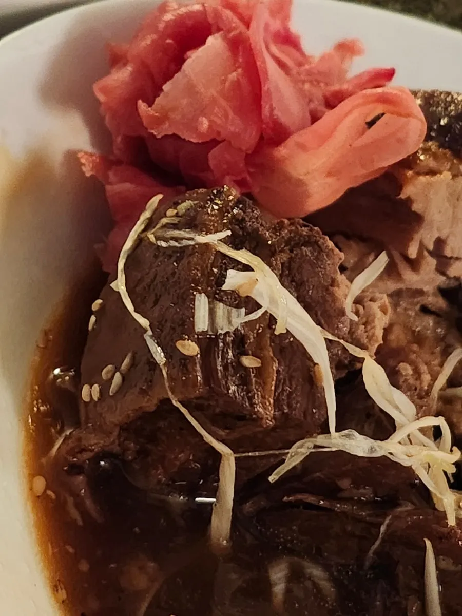 ソースをまとった東坡肉の近接写真