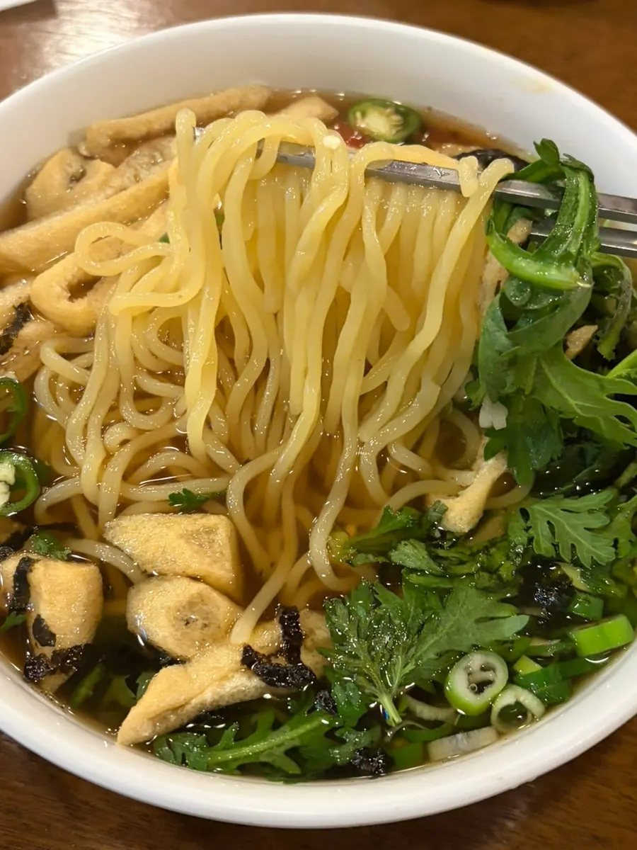 Close-up of the udon noodles