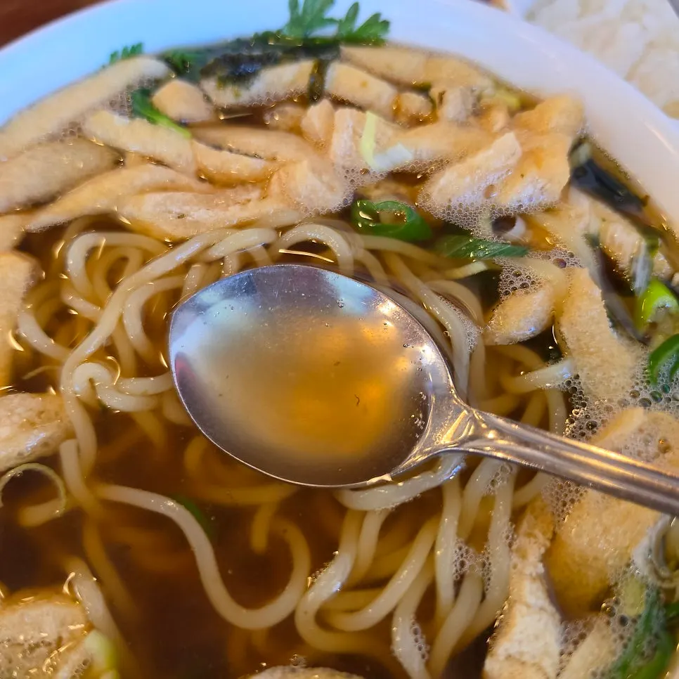 Thin udon noodles lifted with chopsticks