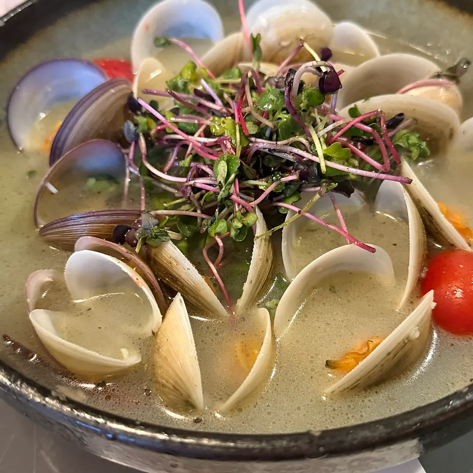 모시조개 술찜 클로즈업