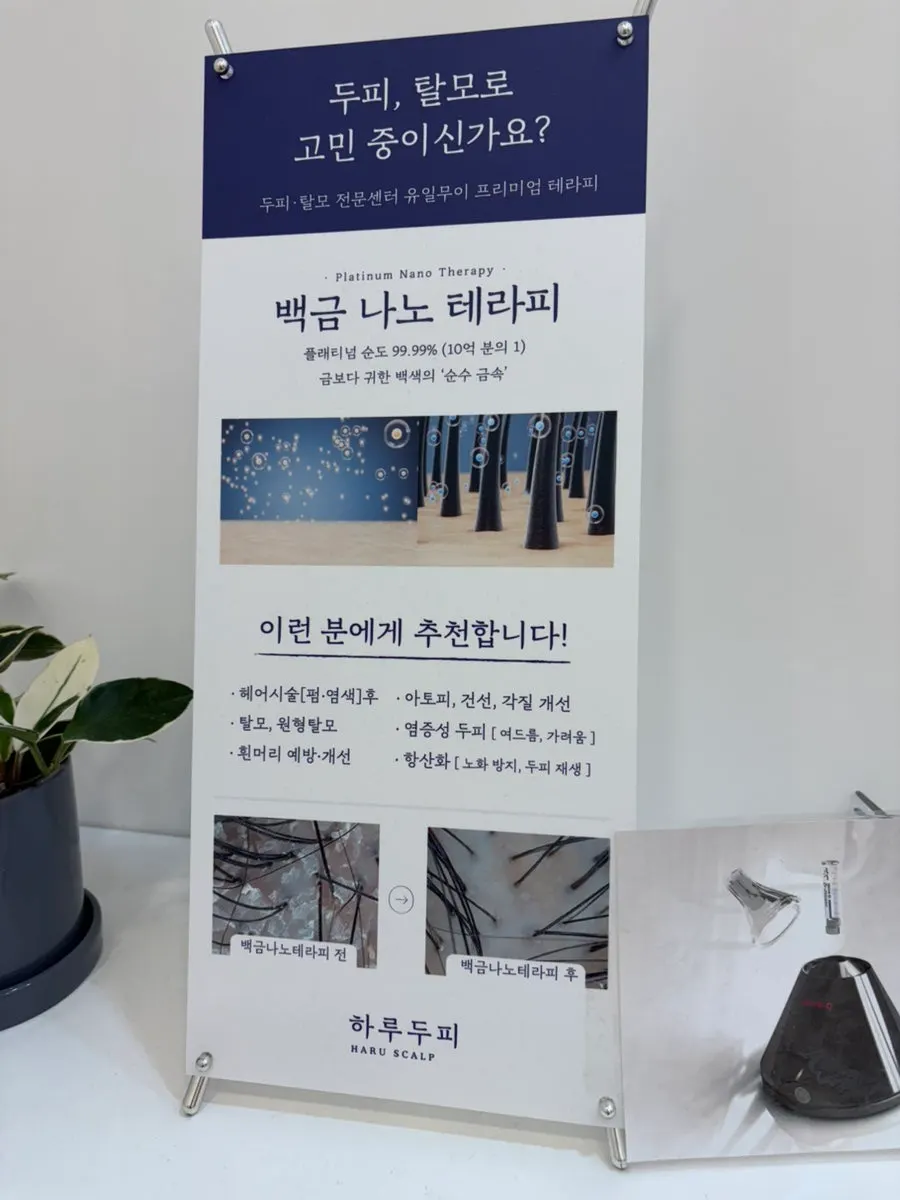 원장님 상담과 두피 상태 확인