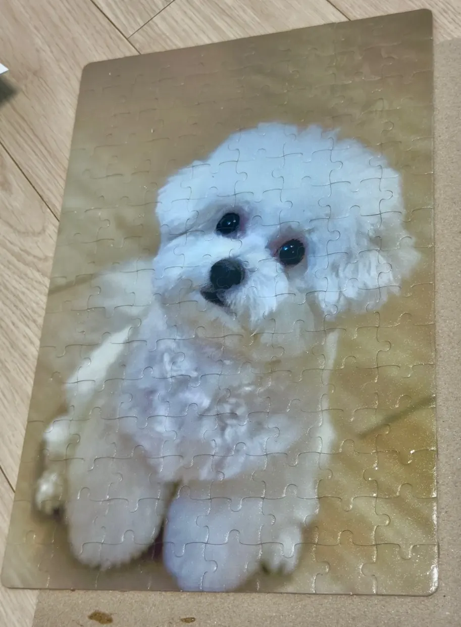 실리콘 브러시로 마감한 사진 퍼즐