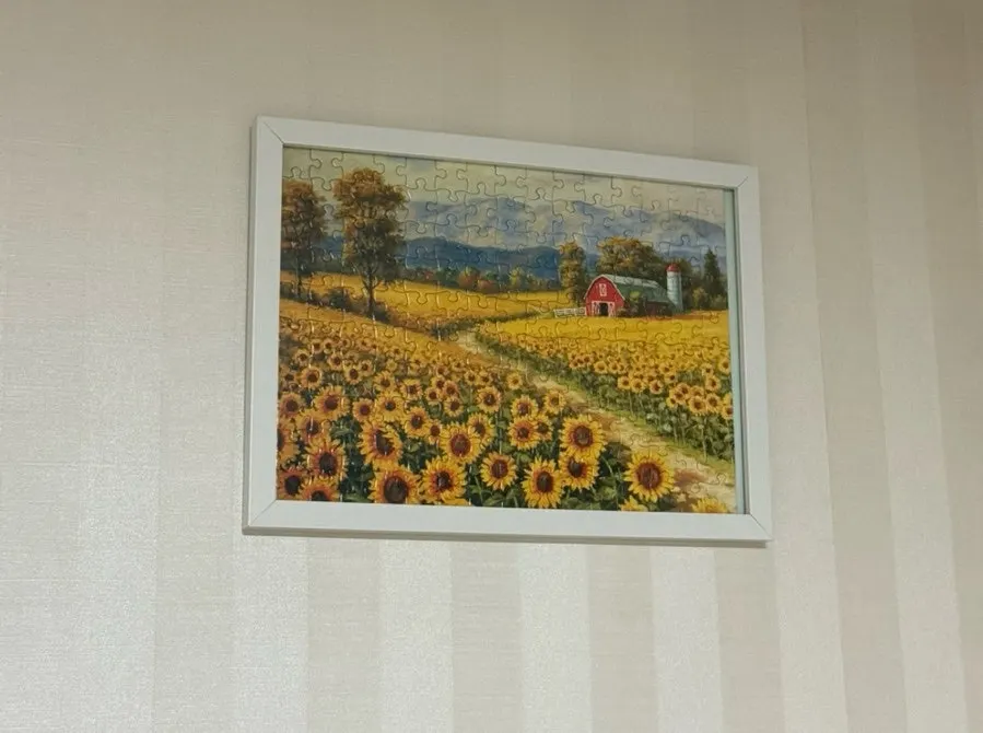 건조 후 고정된 해바라기 퍼즐