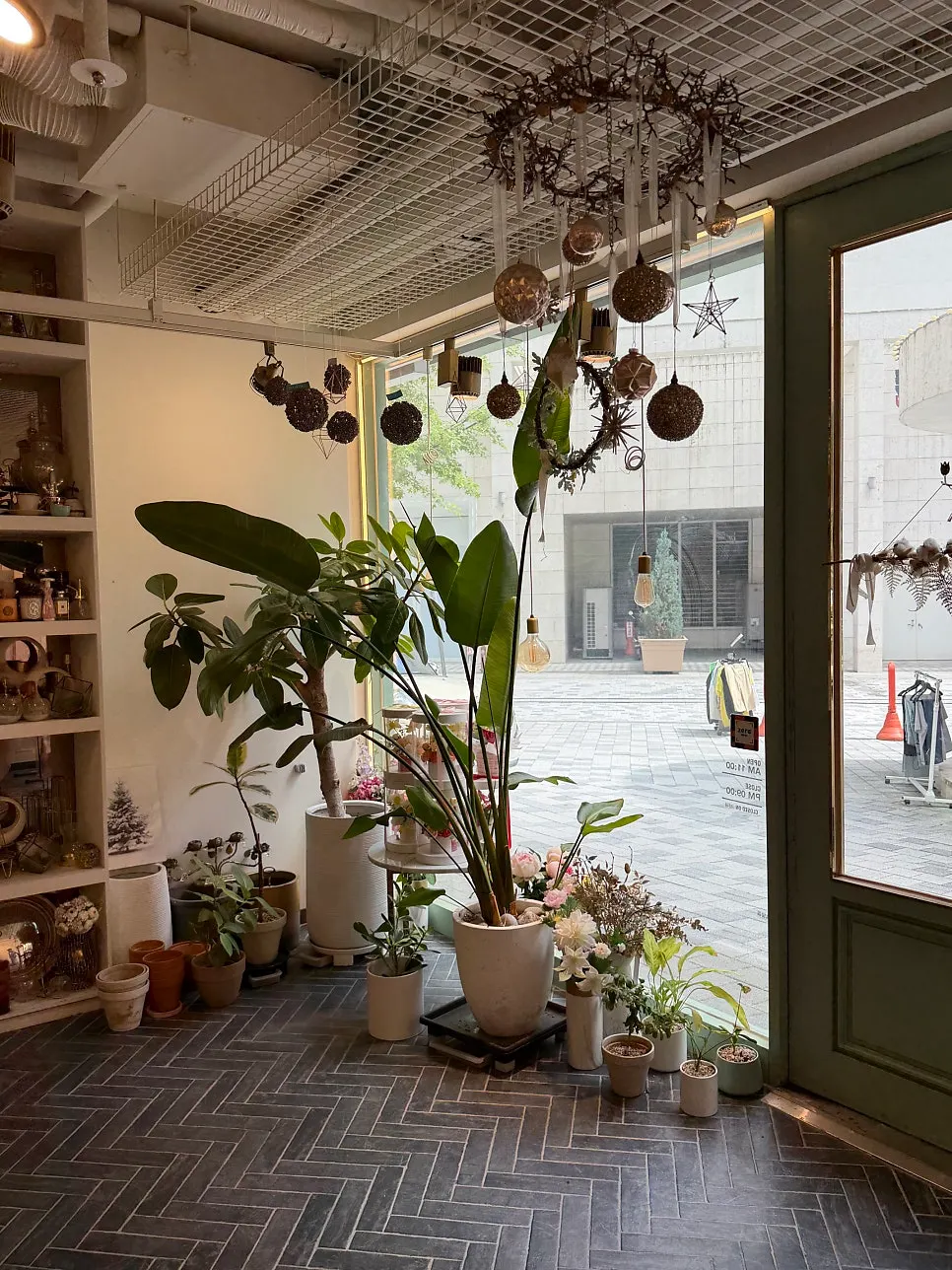 Large potted plants displayed in the store