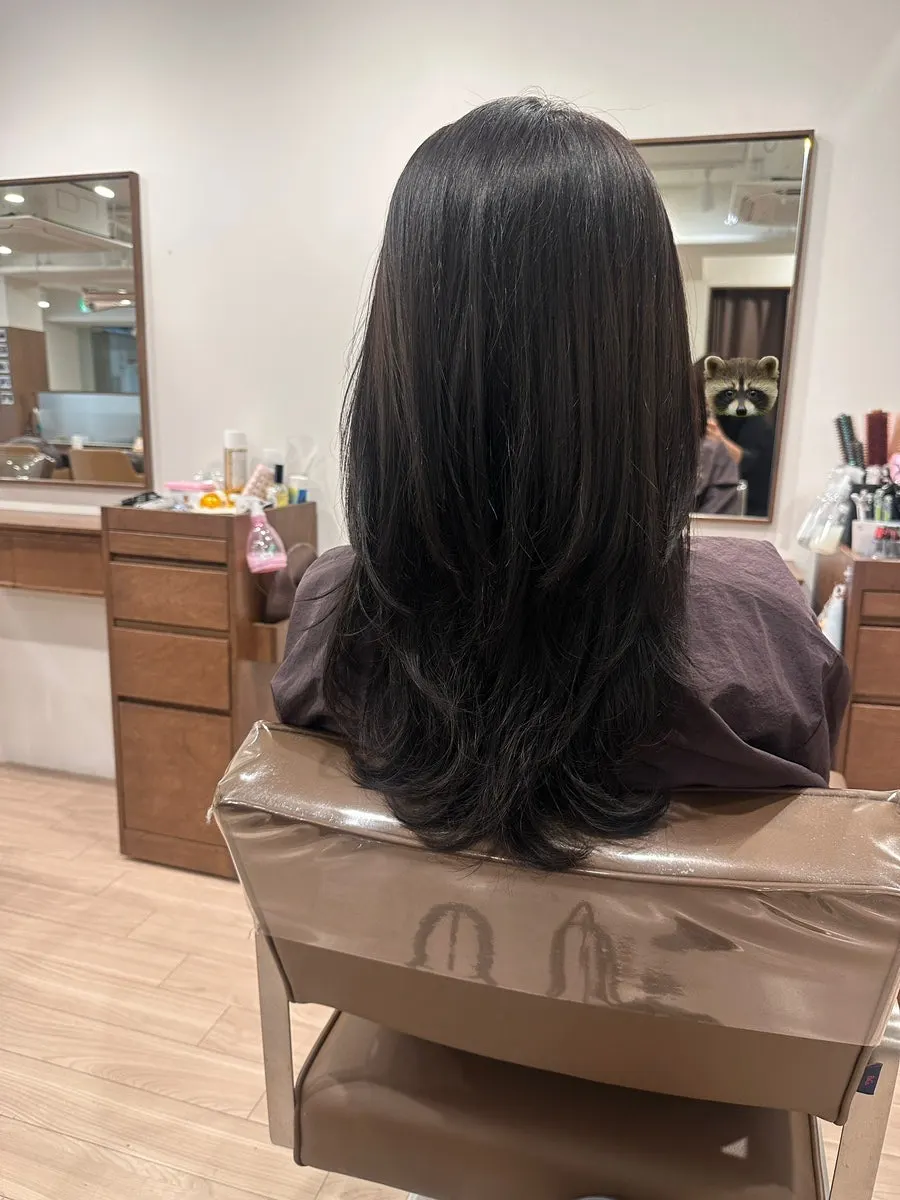 Hair after the designer's blow-dry styling