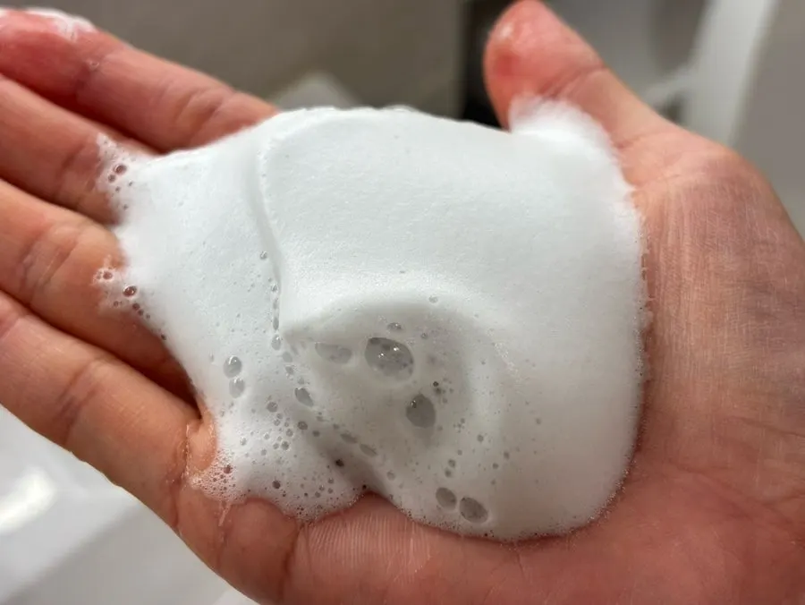 Charcoal cleansing foam after sunscreen: HEEDA Jirisan Moist Foam