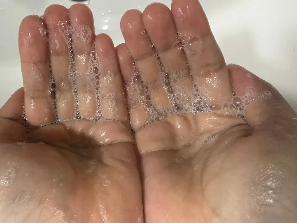 Charcoal cleansing foam for combination skin: HEEDA Jirisan