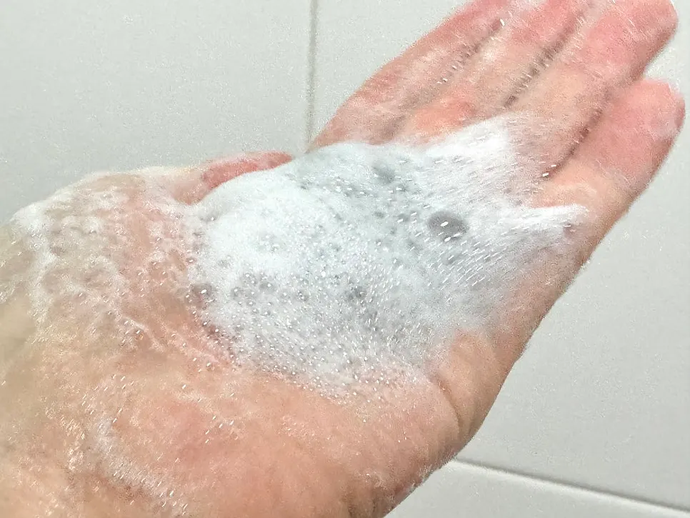 Cleansing foam for dry winter skin: HEEDA Jirisan Moist Charcoal