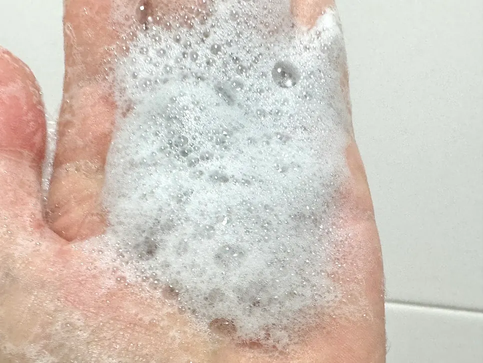 Cleansing foam for dry winter skin: HEEDA Jirisan Moist Charcoal