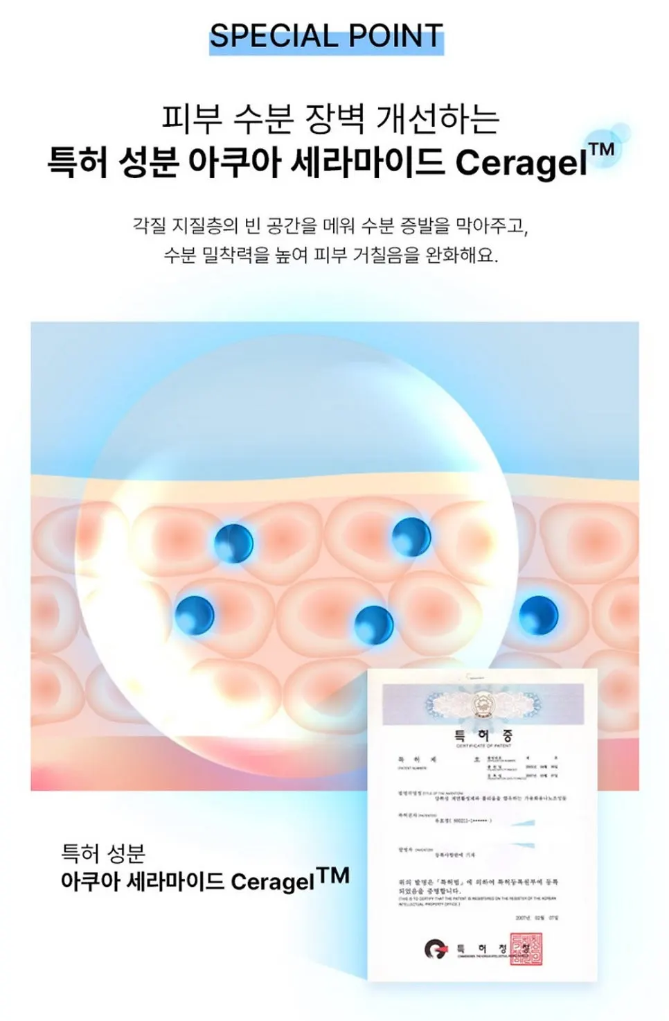 Cleansing foam for dry winter skin: HEEDA Jirisan Moist Charcoal