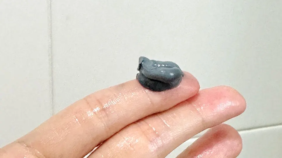 Cleansing foam for dry winter skin: HEEDA Jirisan Moist Charcoal