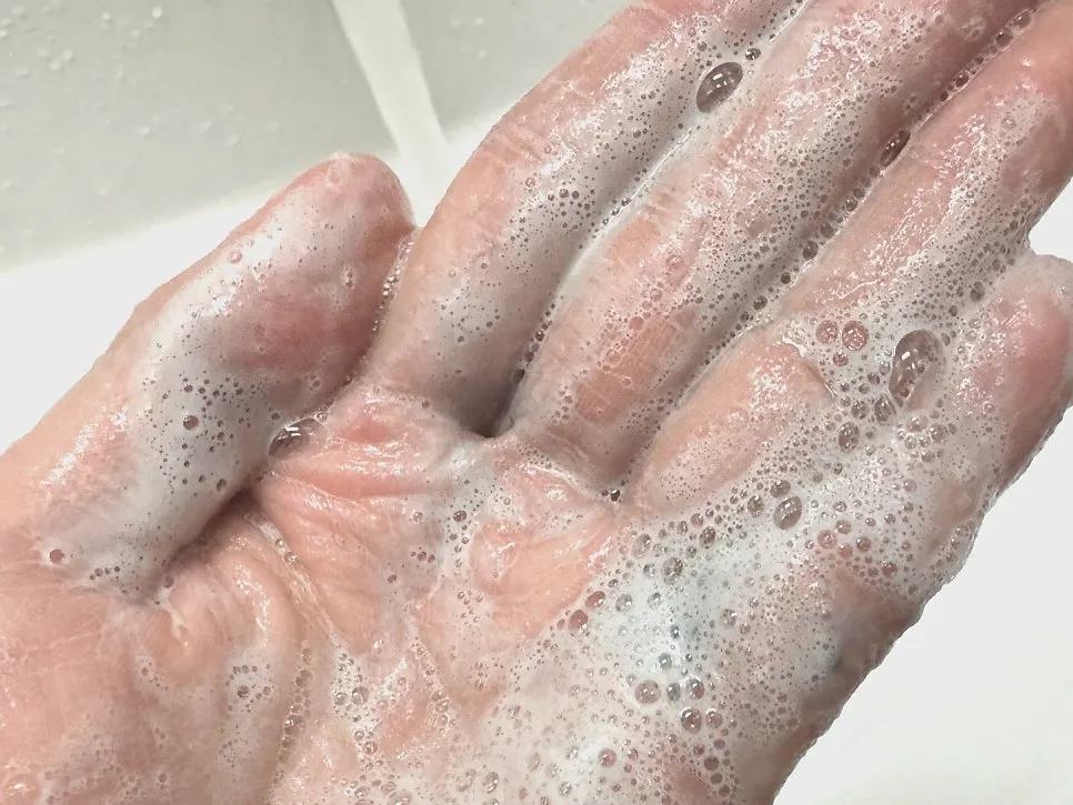 Cleansing foam for dry winter skin: HEEDA Jirisan Moist Charcoal