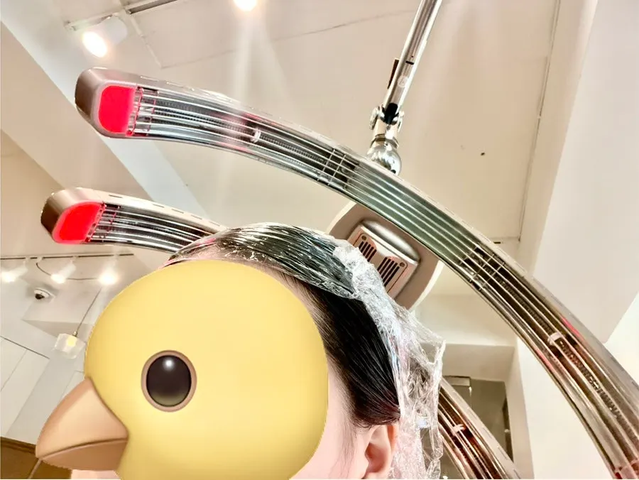 모발 클리닉 준비 과정