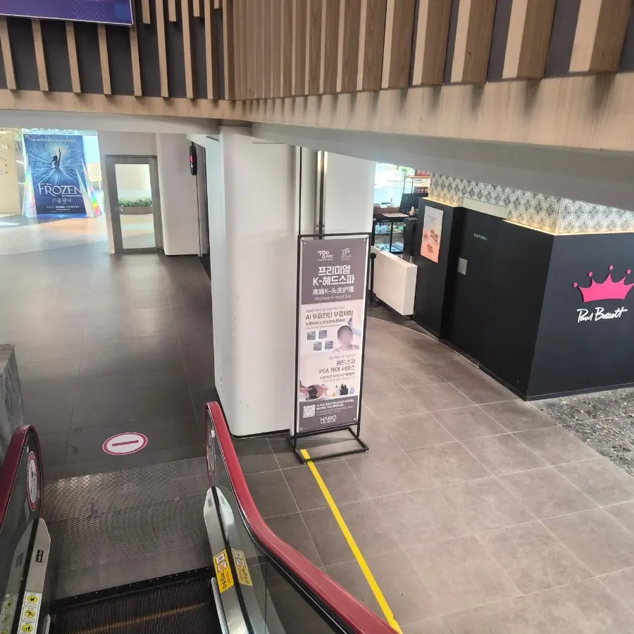 Entrance to the shared Lotte World parking lot