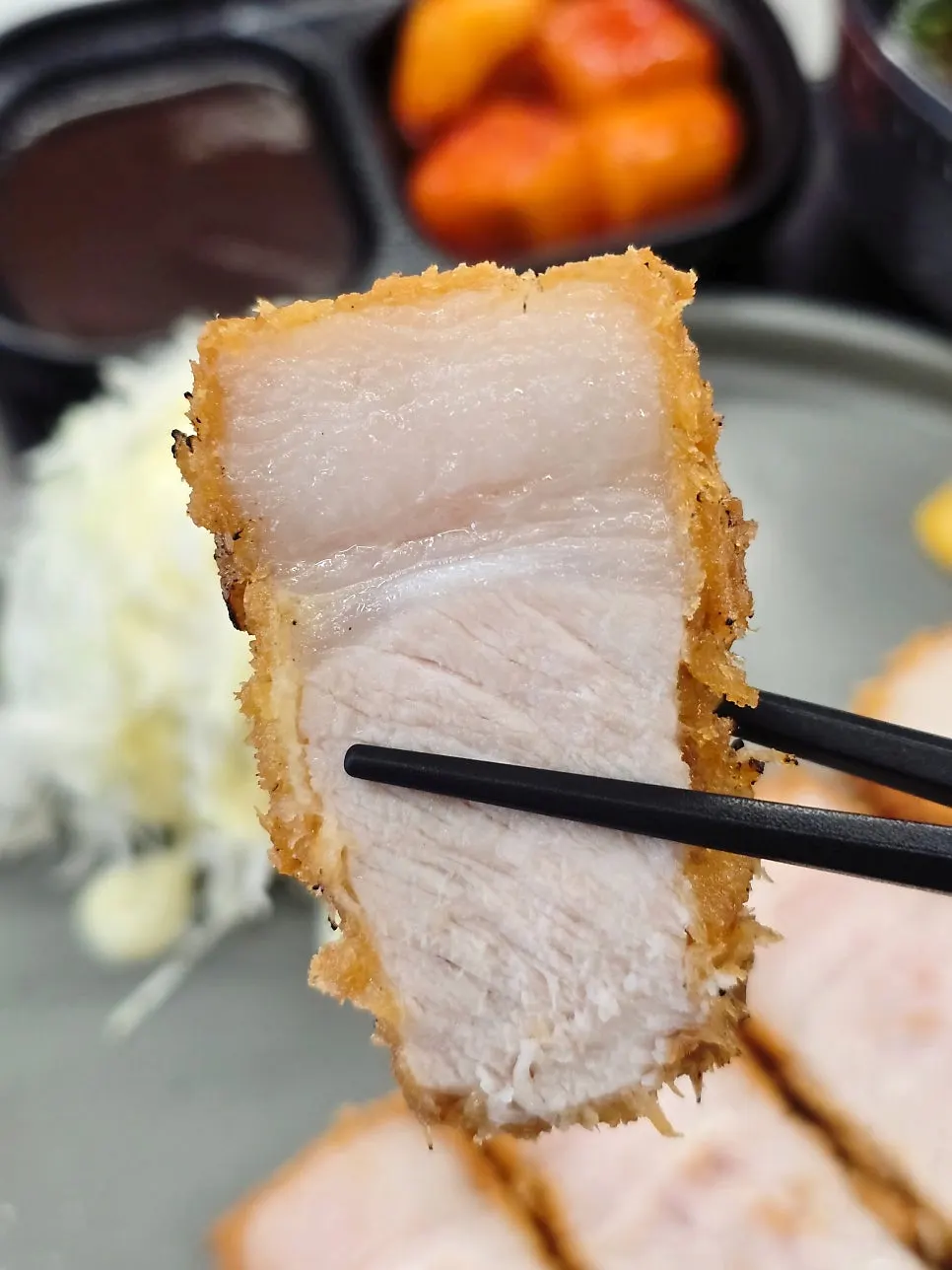 Assorted katsu with both rosu katsu and hire katsu