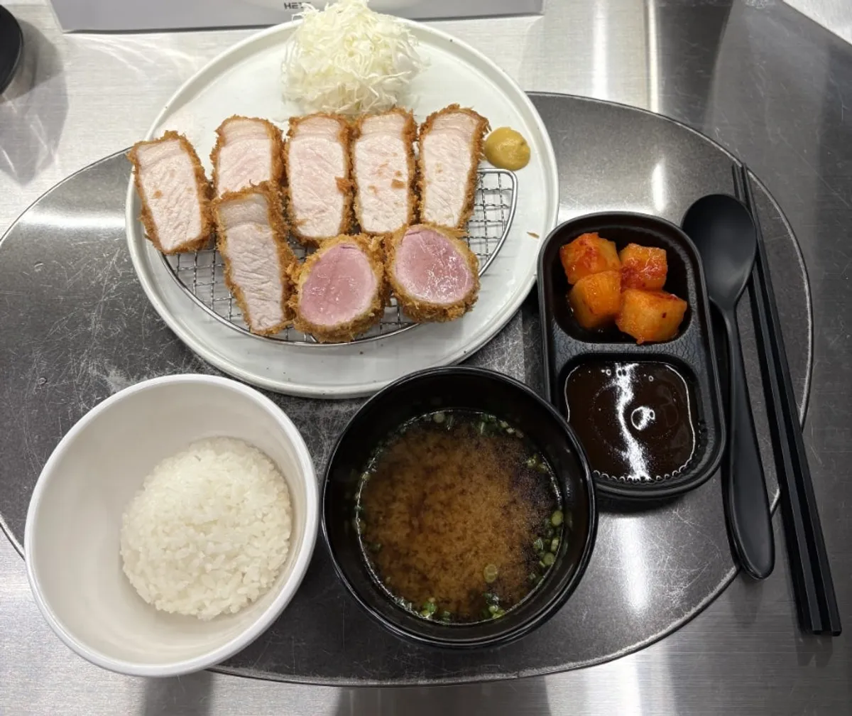 A full plate of YBD assorted katsu
