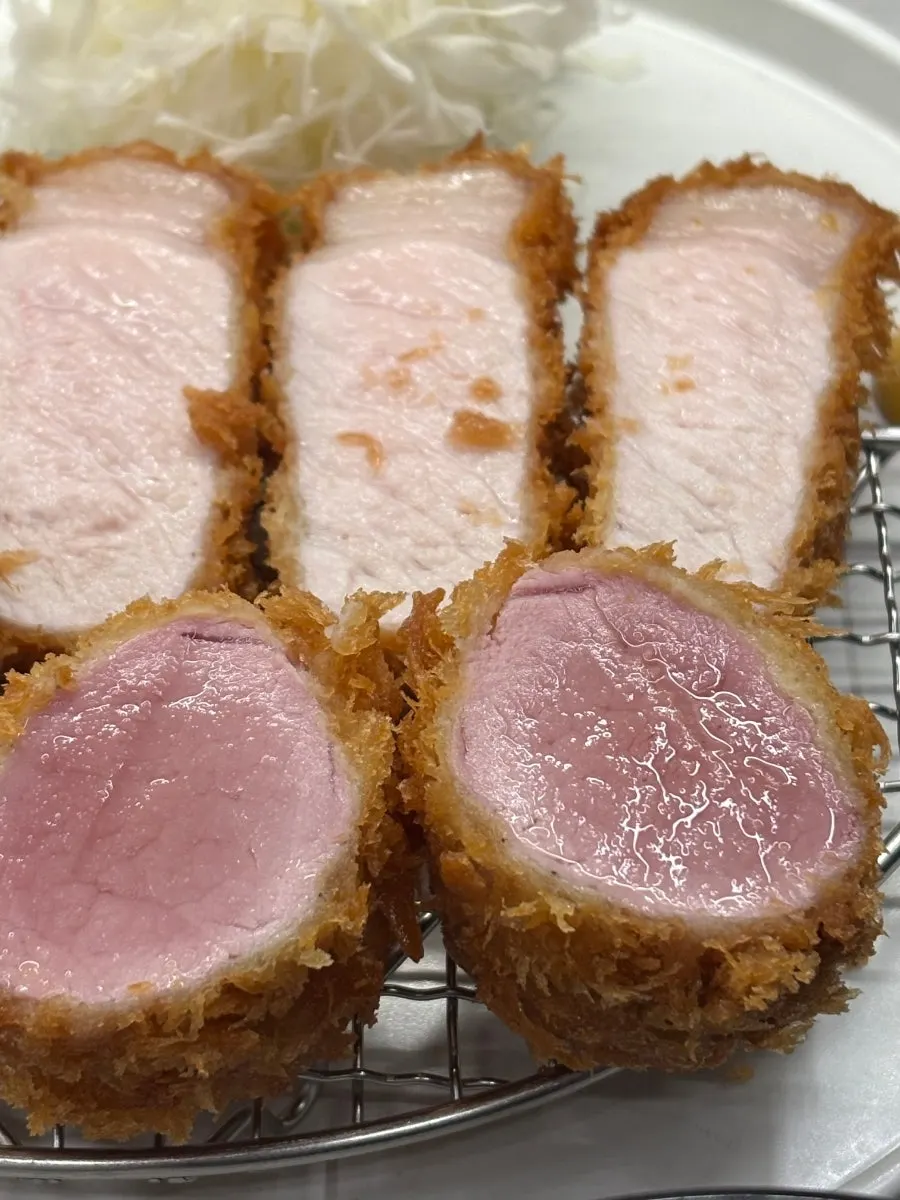 Close-up of the YBD katsu cross-section