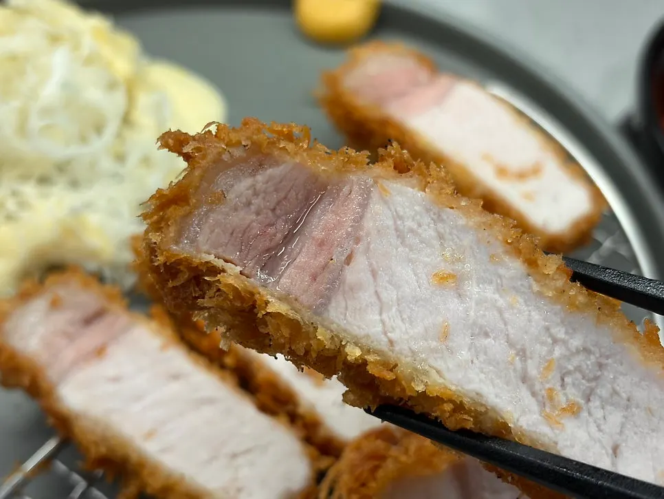 A piece of black pork katsu eaten plain