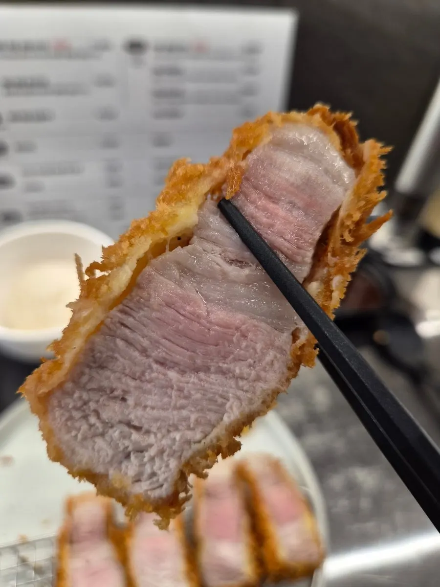 A piece of tonkatsu with thin batter