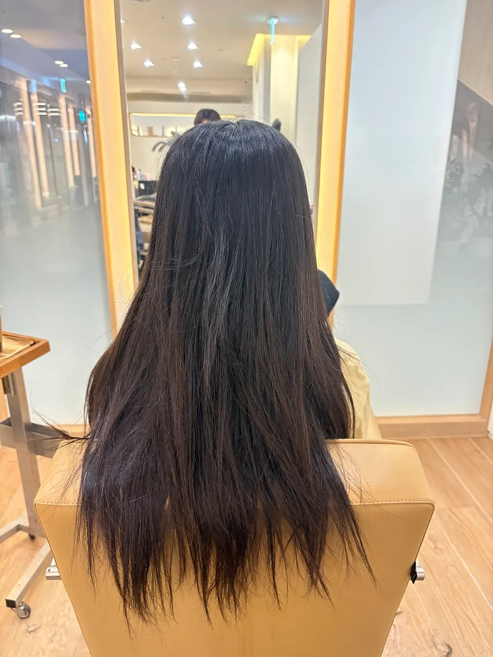 Frizzy, overgrown hair before the treatment