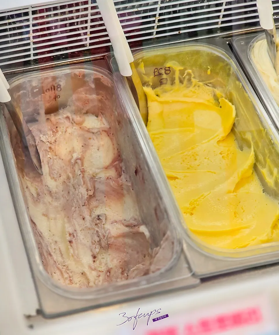 Showcase with 9 gelato flavors on display