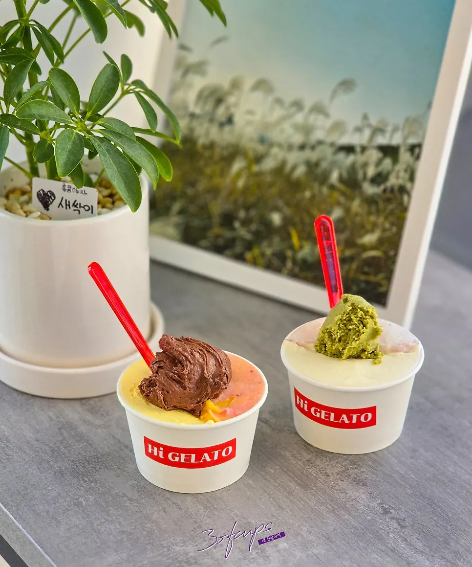 Large cup of gelato with plenty of tasting spoons