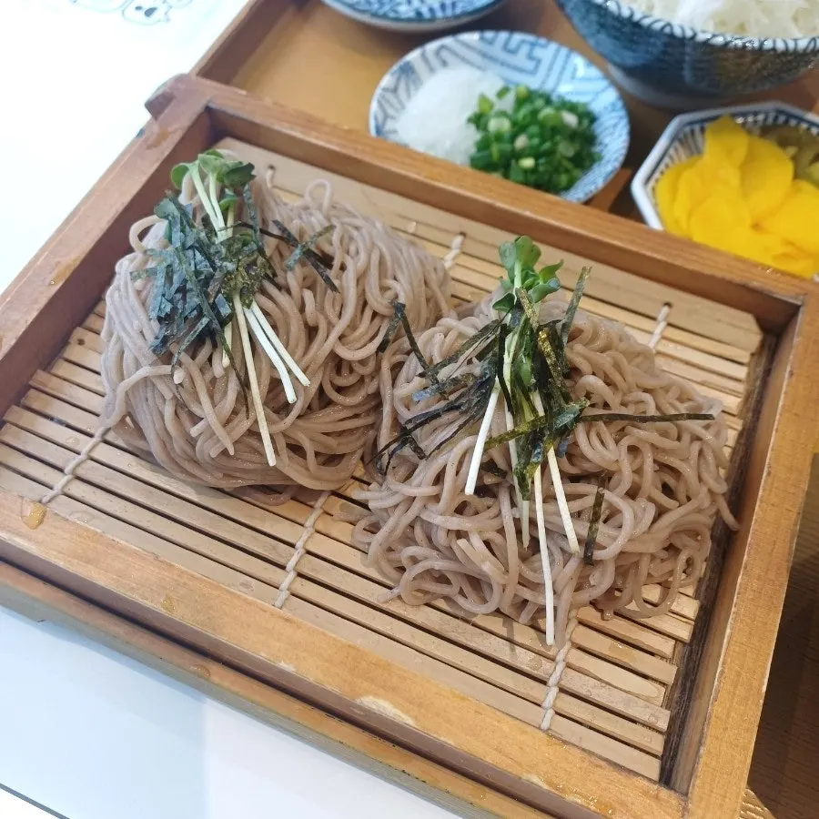 Soba broth with grated radish and chopped green onion