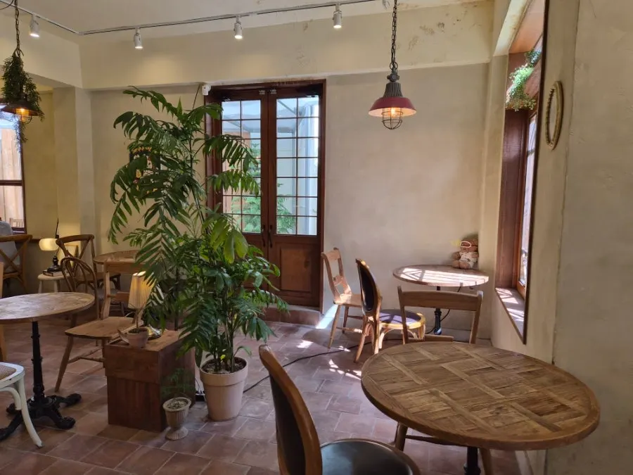 Interior of Hippy café with green plants placed throughout