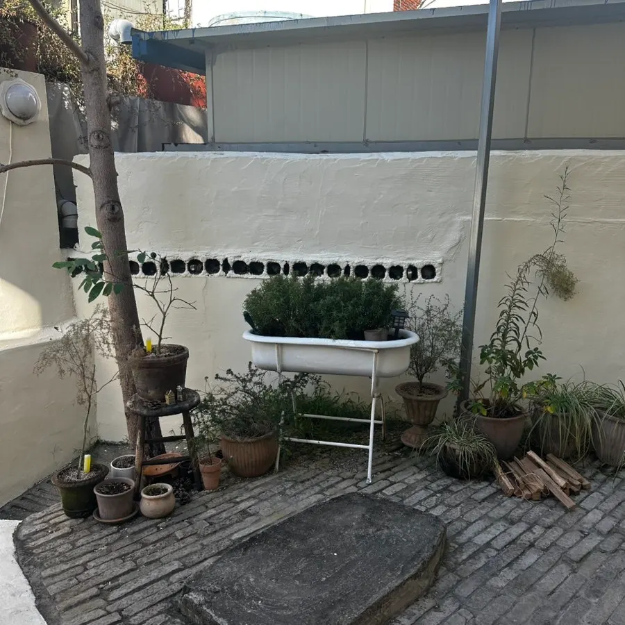Hippy interior with wood furniture and plants