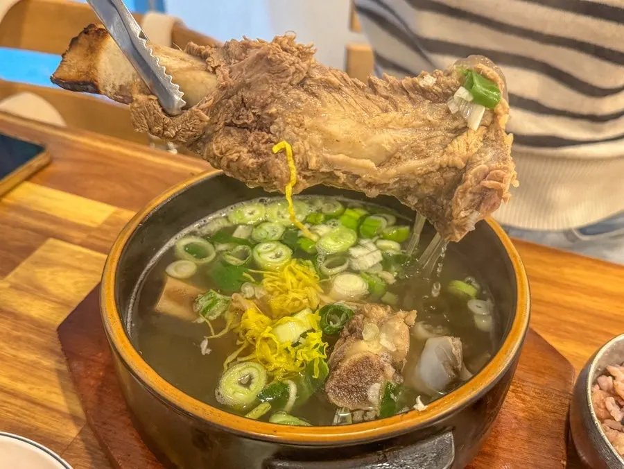 뚝배기에 담긴 회기왕갈비탕 갈비탕 한 그릇