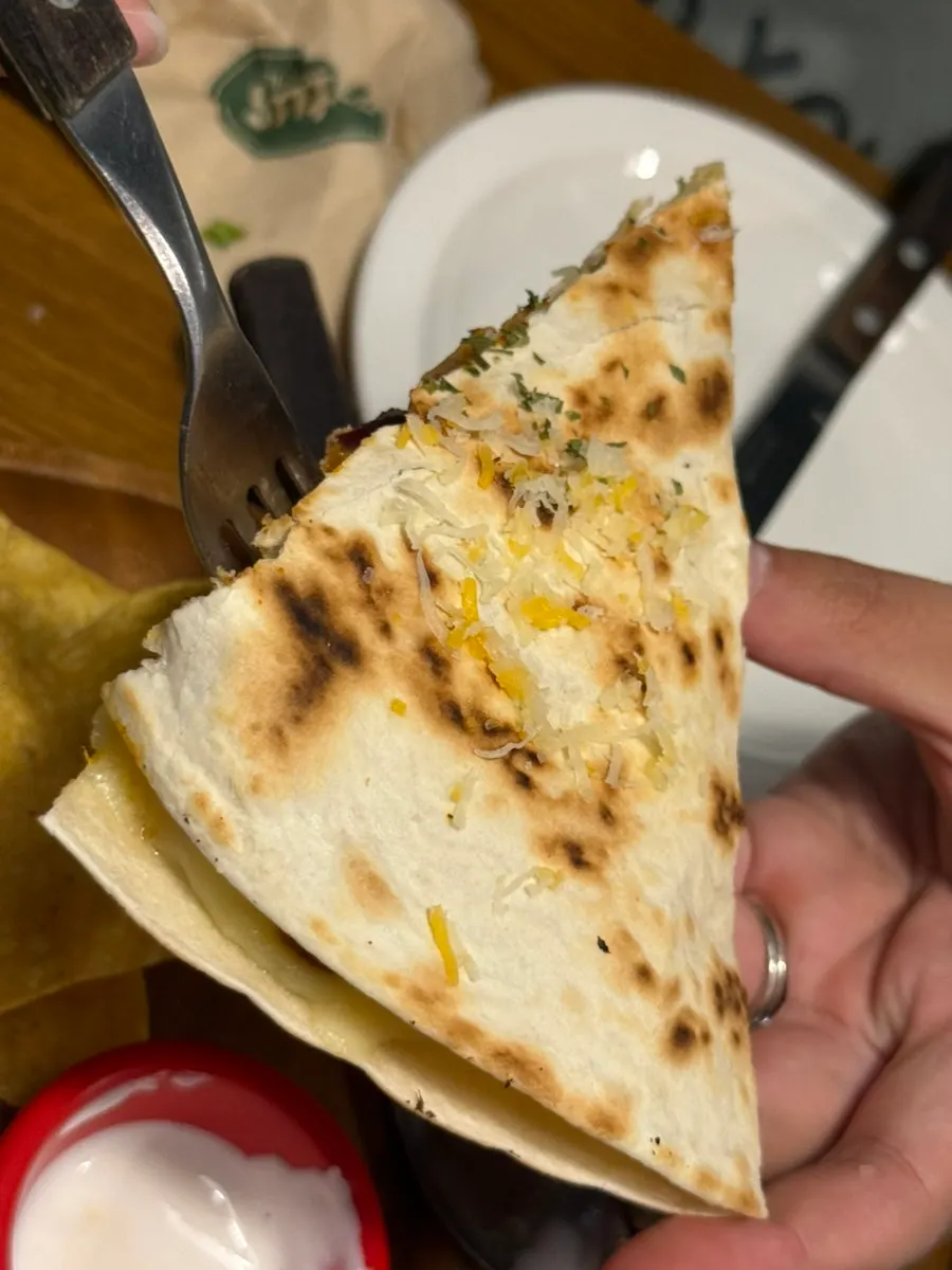 Quesadilla filled with chicken, cheese, and vegetables