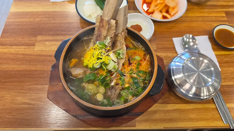 Rib bone rising above the broth