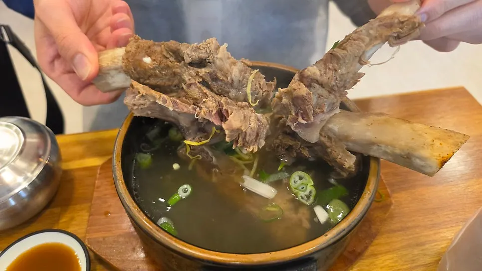 Rib bone fully stripped of meat