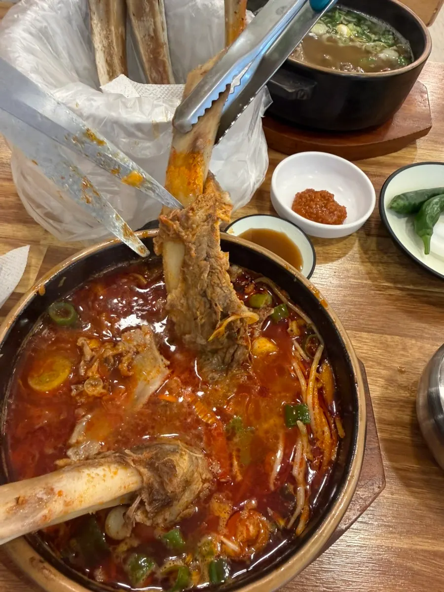 Thick rib bone in the spicy galbitang