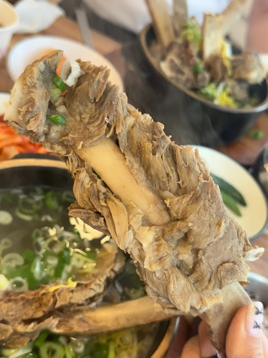 Broth with picked-apart rib meat