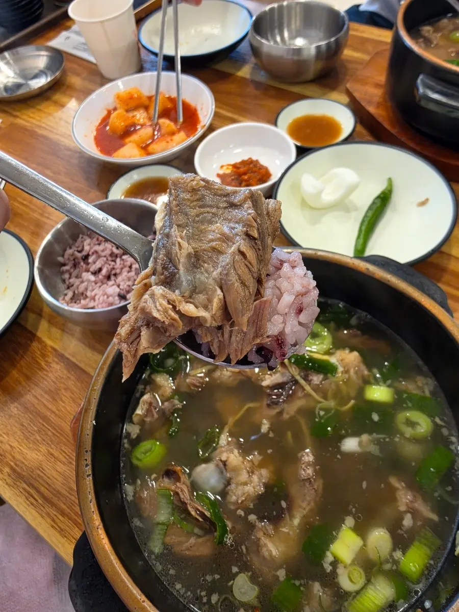 국물을 머금은 당면과 살코기