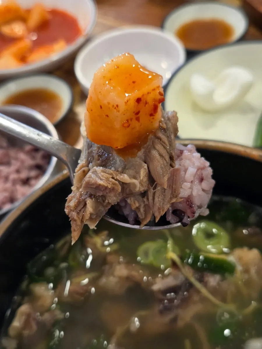 밥과 갈비고기, 석박지를 올린 숟가락