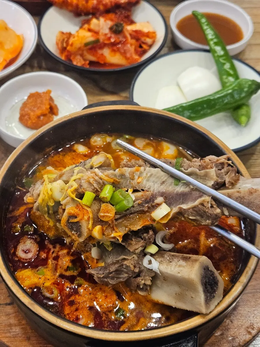 Close-up of the rich spicy galbitang broth